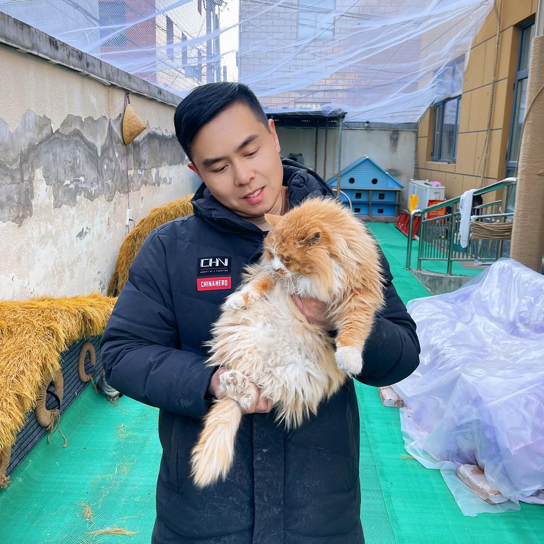 老宋的猫主子