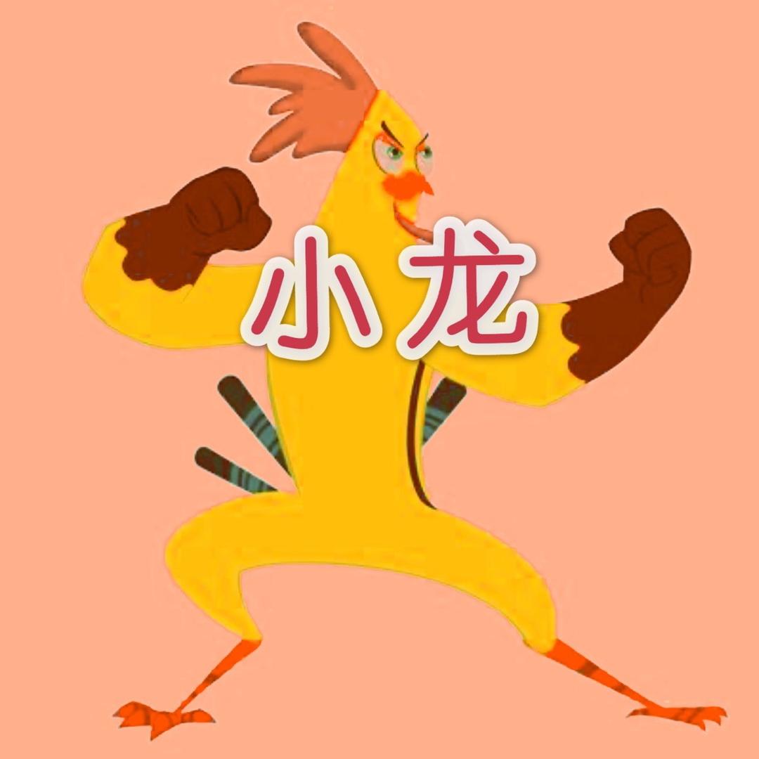 爱打游戏的小龙@抖音