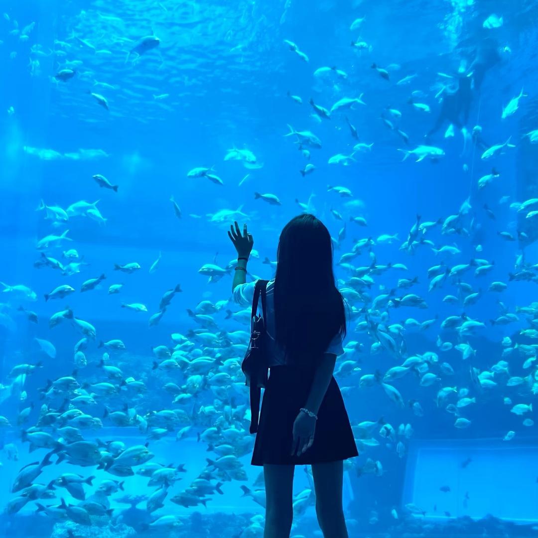 养鱼的火火🐟