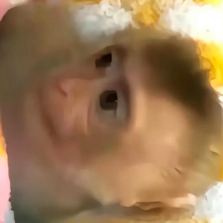 陈小年