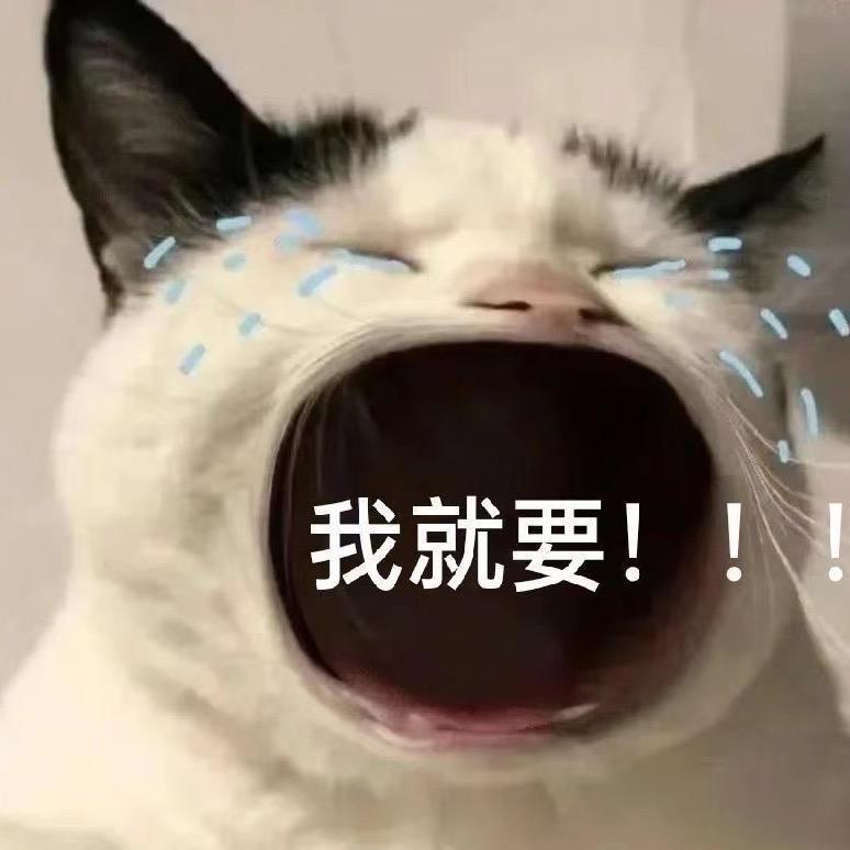 捡破烂的小垃圾