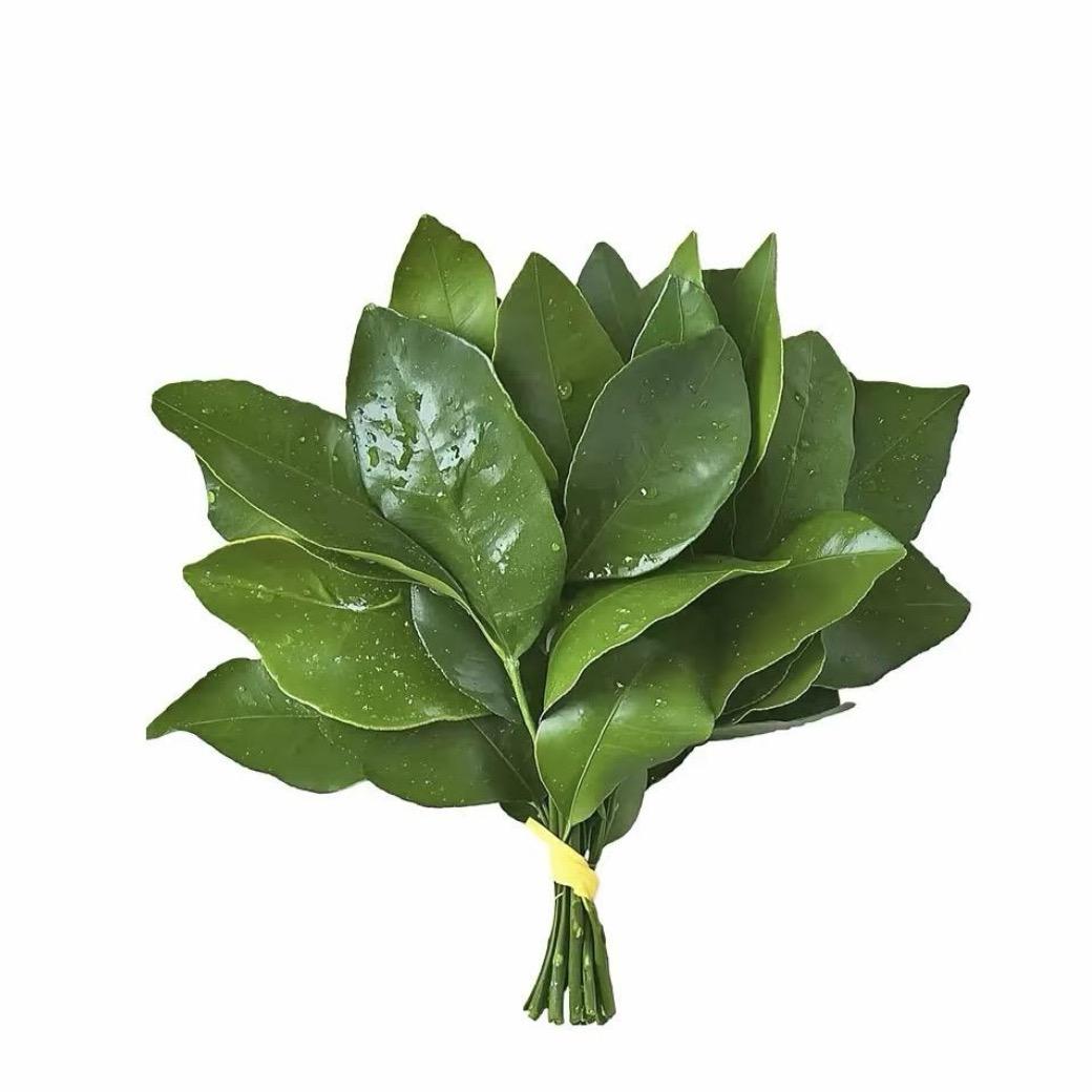 树莓卷