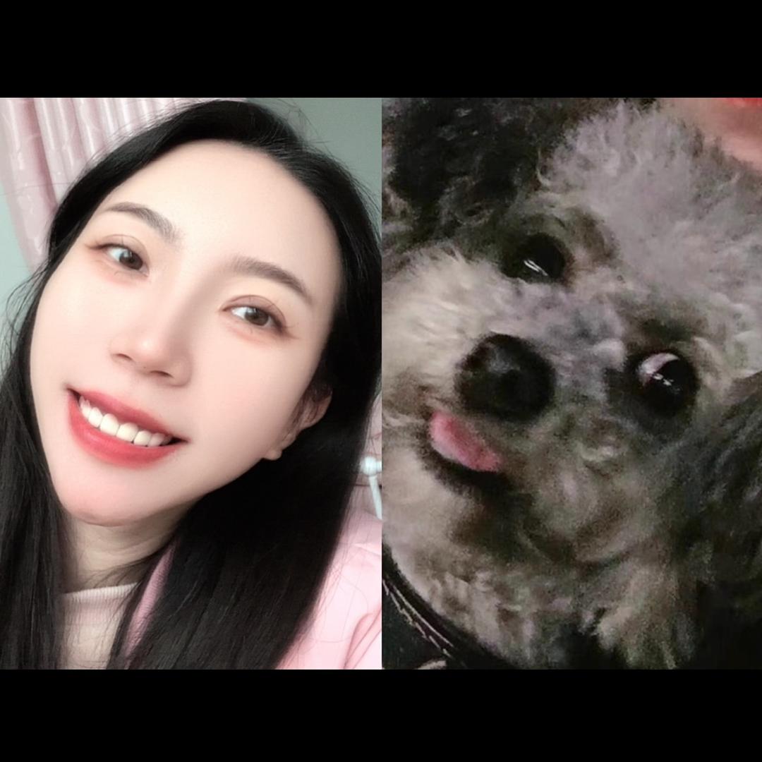 沙漠里的仙人掌