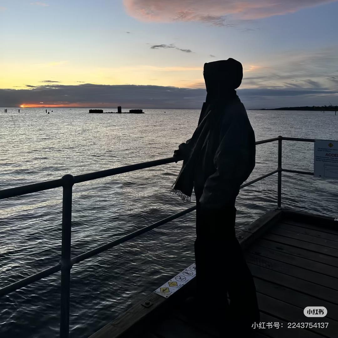 皮蛋solo粥