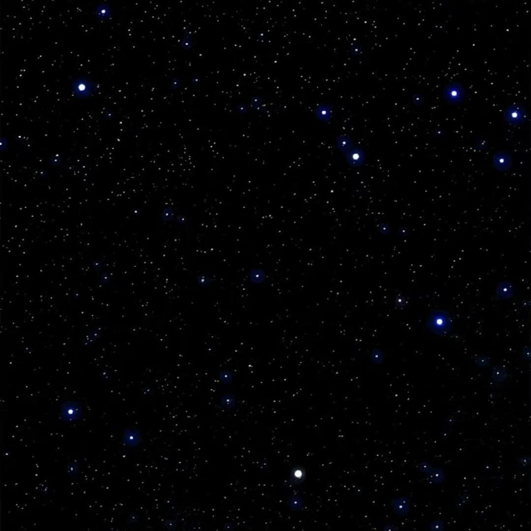 辣笔小胖