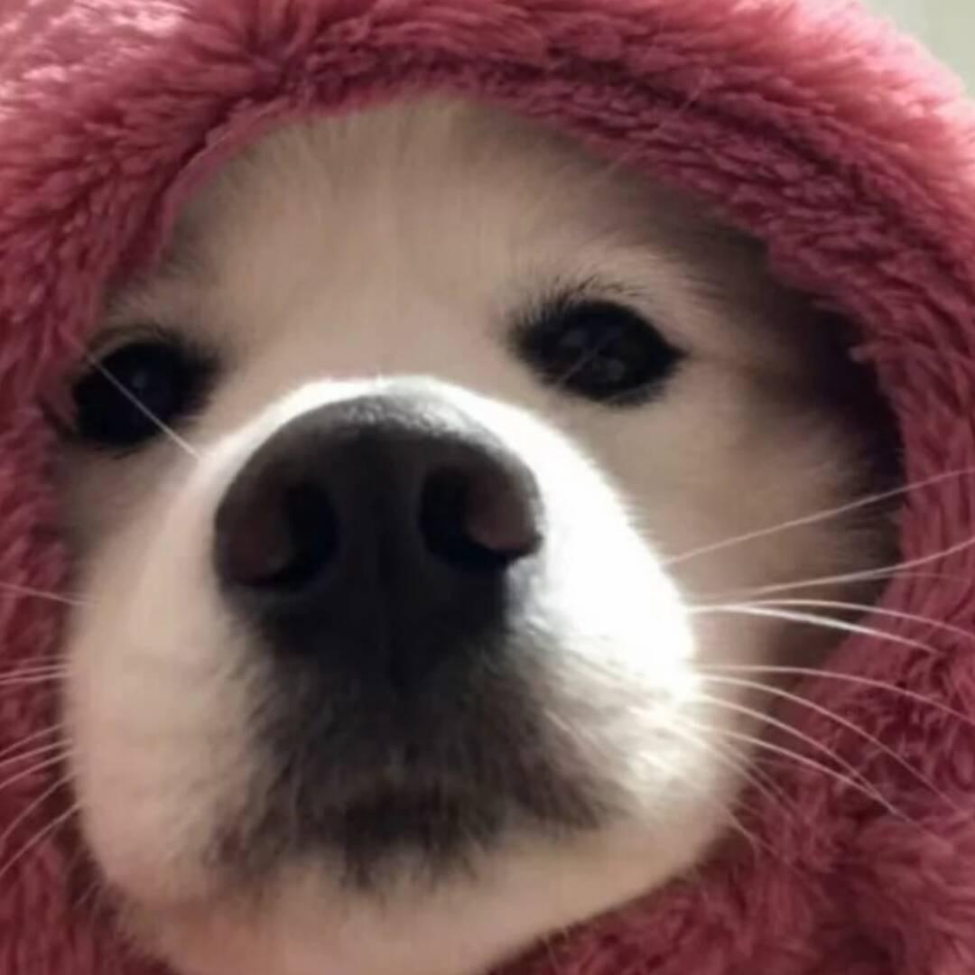 zzzzzz
