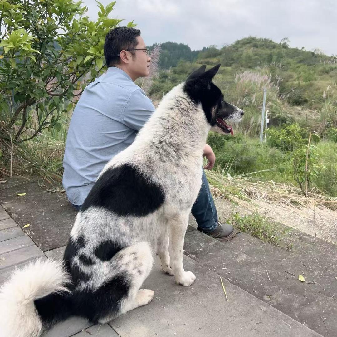 萝卜要涨价