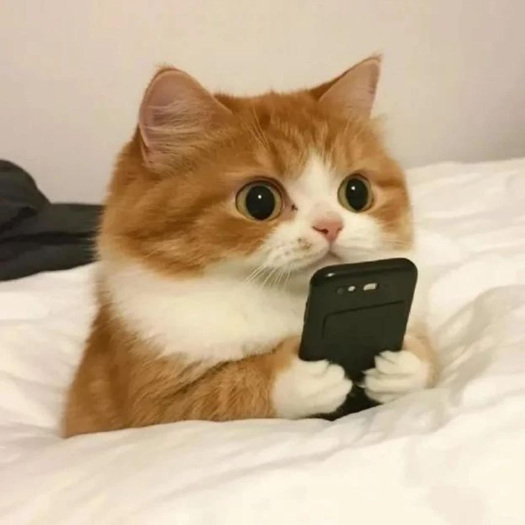 SayNOing