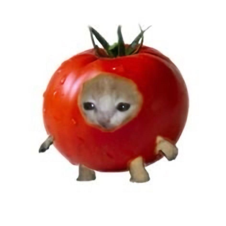 疯狂撕咬螺蛳粉的鬣狗