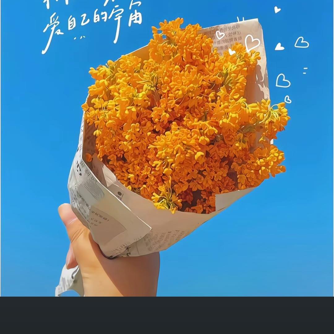 闲庭晓院
