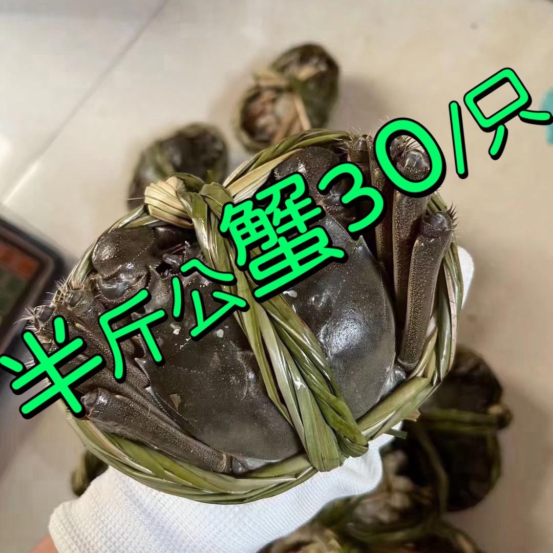 阿军固城湖农产品大闸蟹