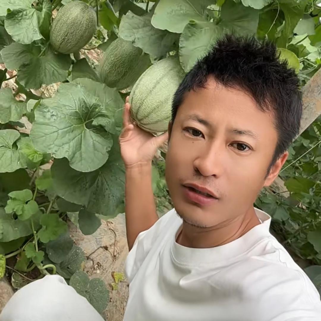 史先生🍉（产地代办）