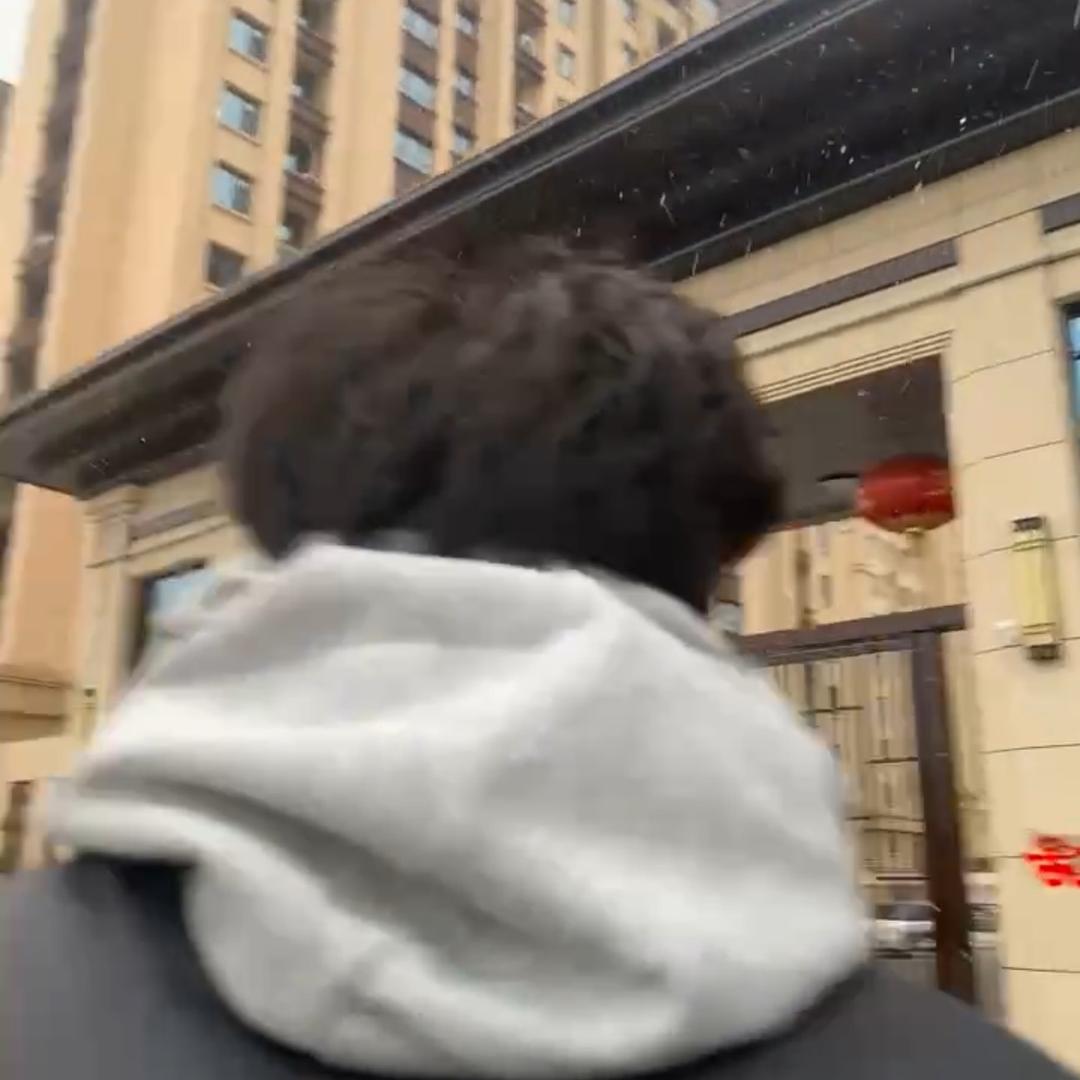 鸭脚