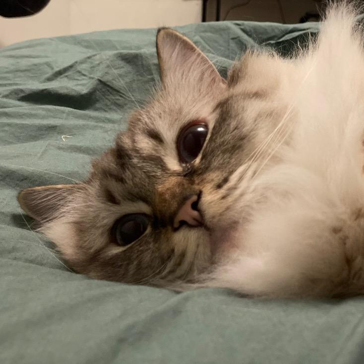 4566走心版@抖音