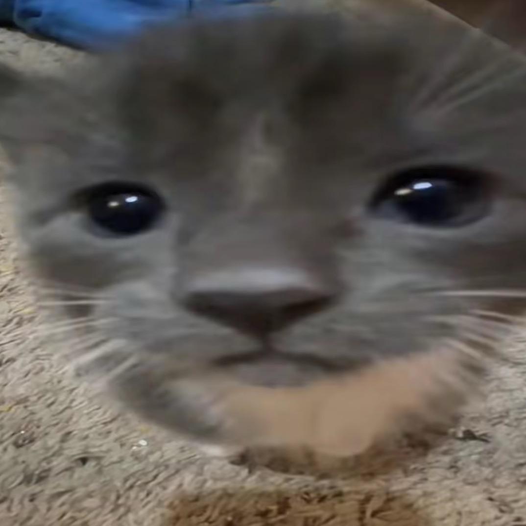 用户51858193743