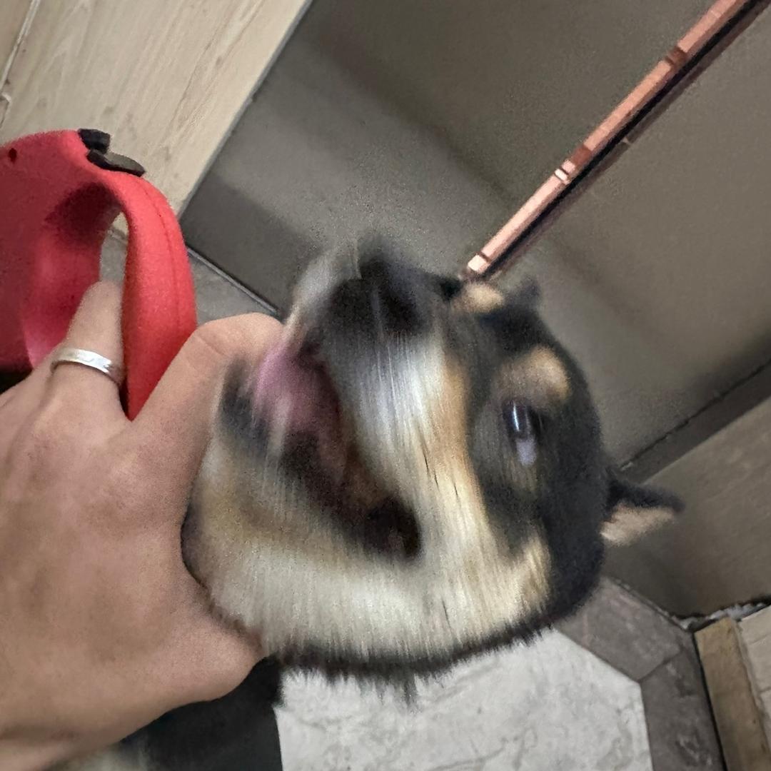 果粒陈👦🏻