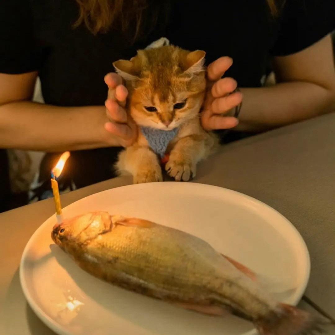 我要吃无骨凤爪