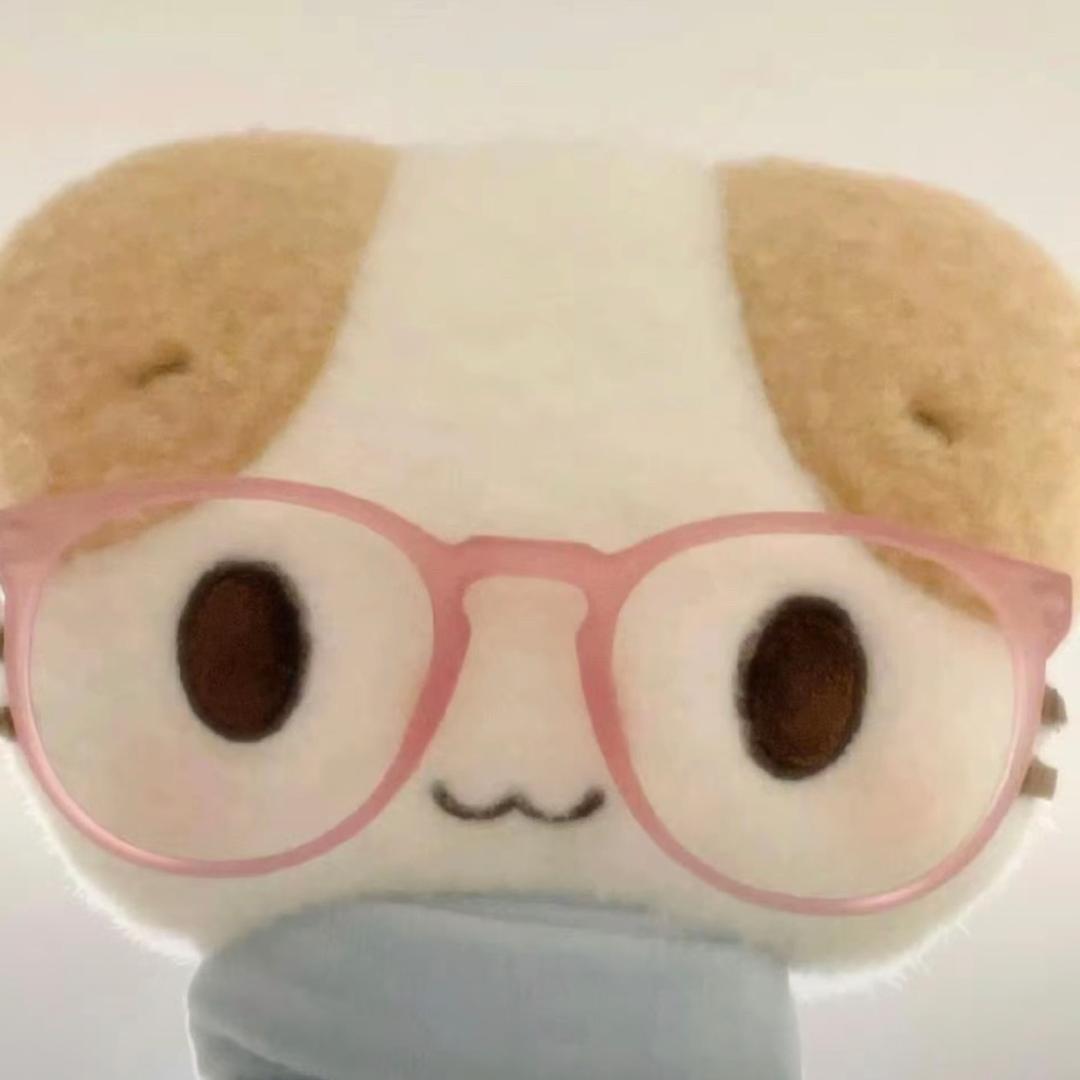 小᳐熊宝᳐੭