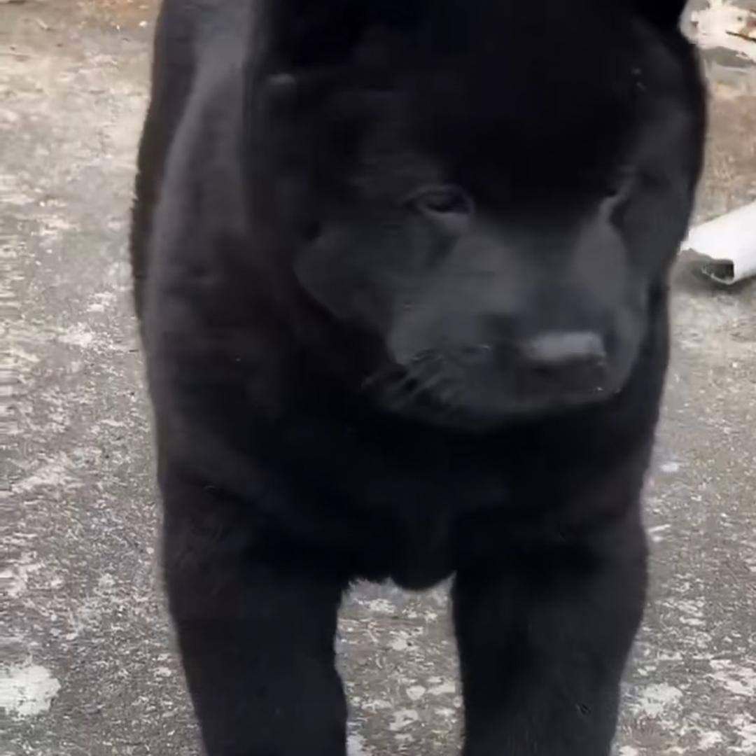 顺风顺水顺财神
