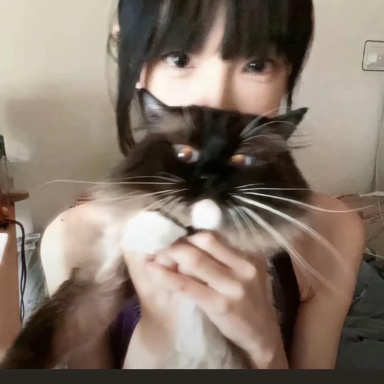 爱跳舞的老虎