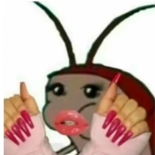 美丽性感母蟑螂