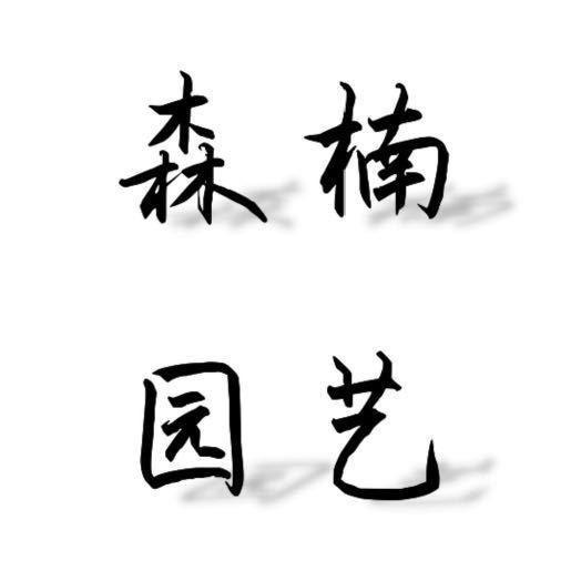 森楠园艺小张