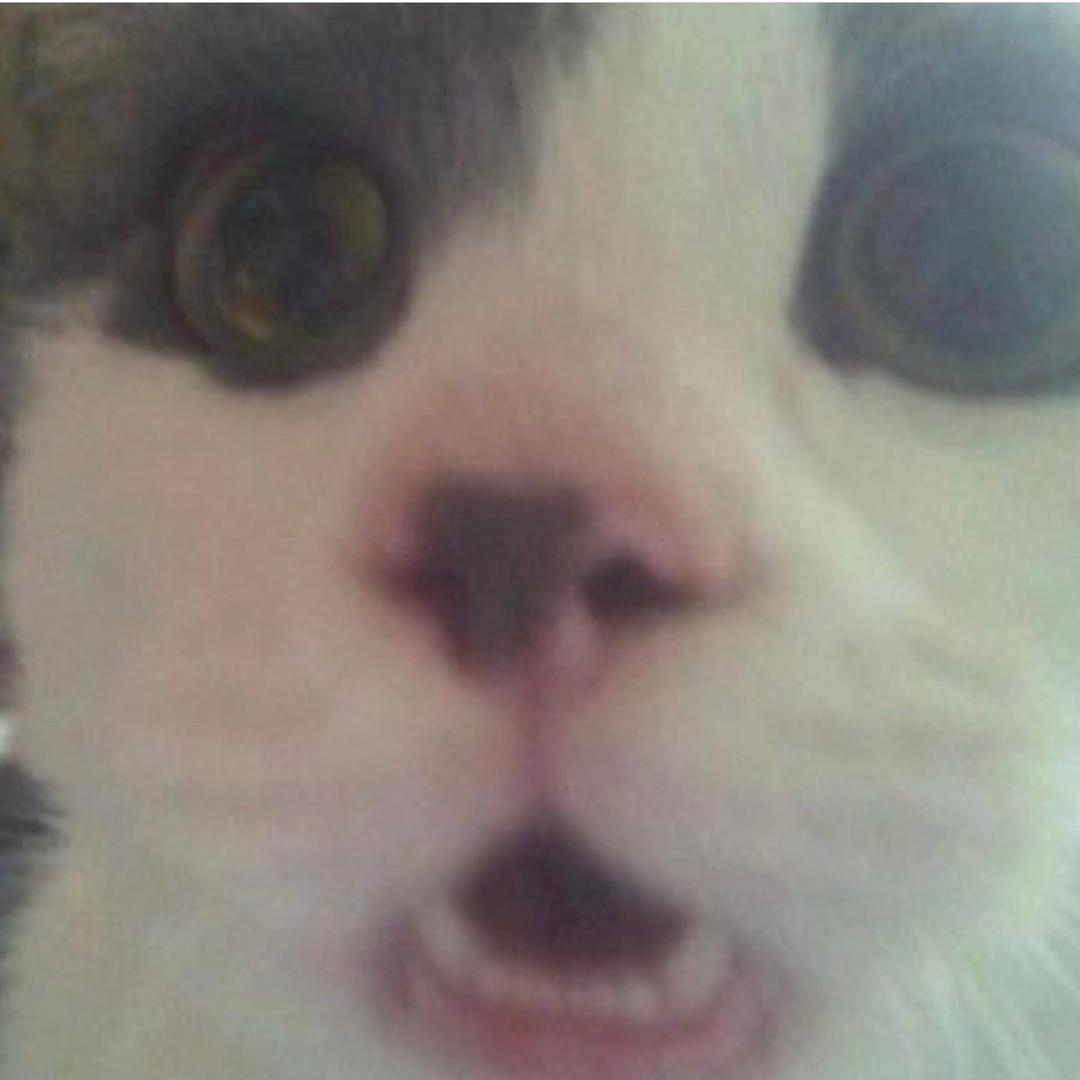 双下巴真可爱@抖音