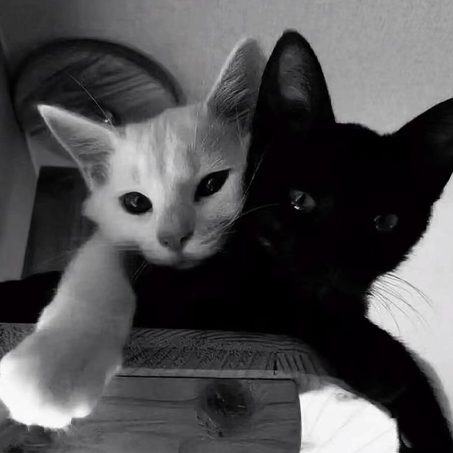 胧
