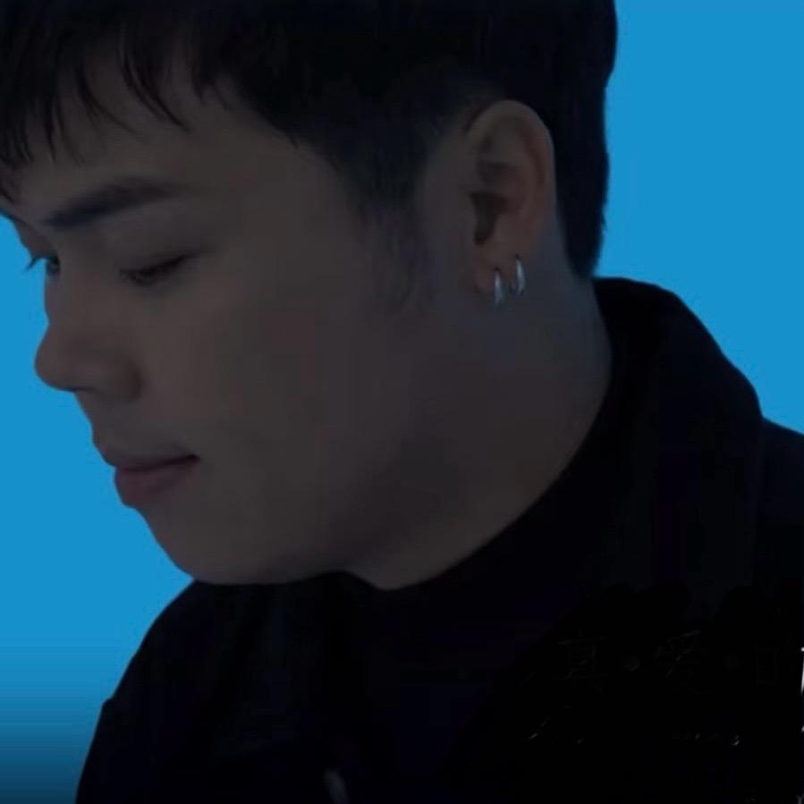 小小萨摩耶