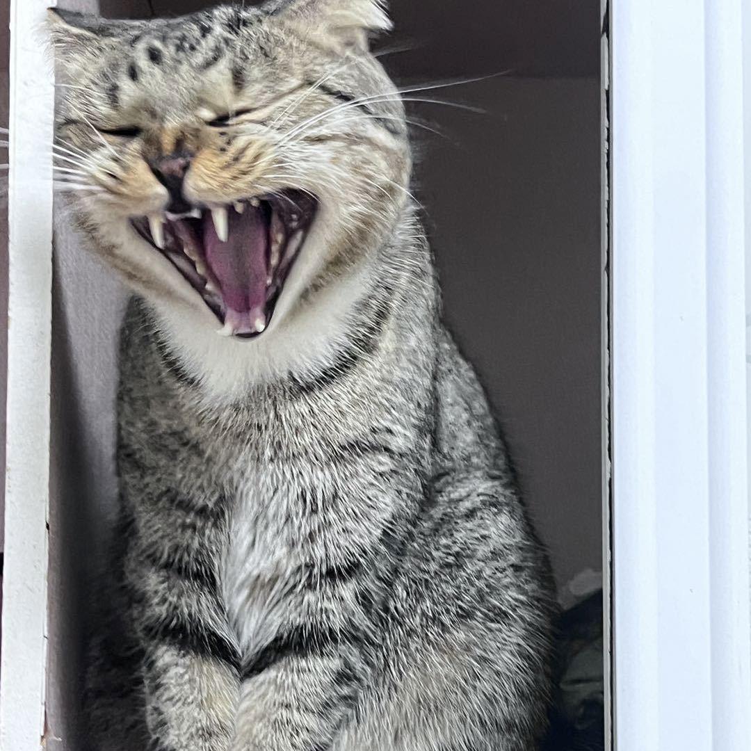 哇塞塞