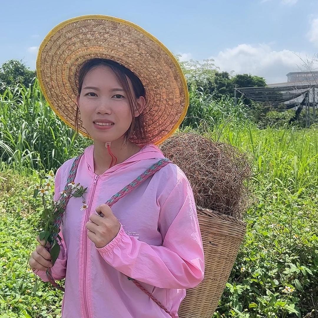 连妹山野土特产