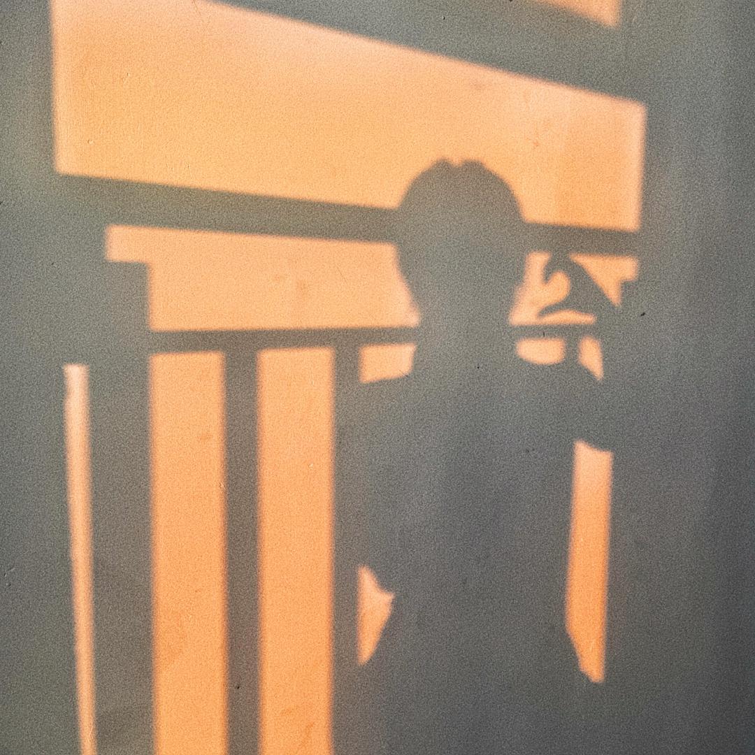 Ss珊