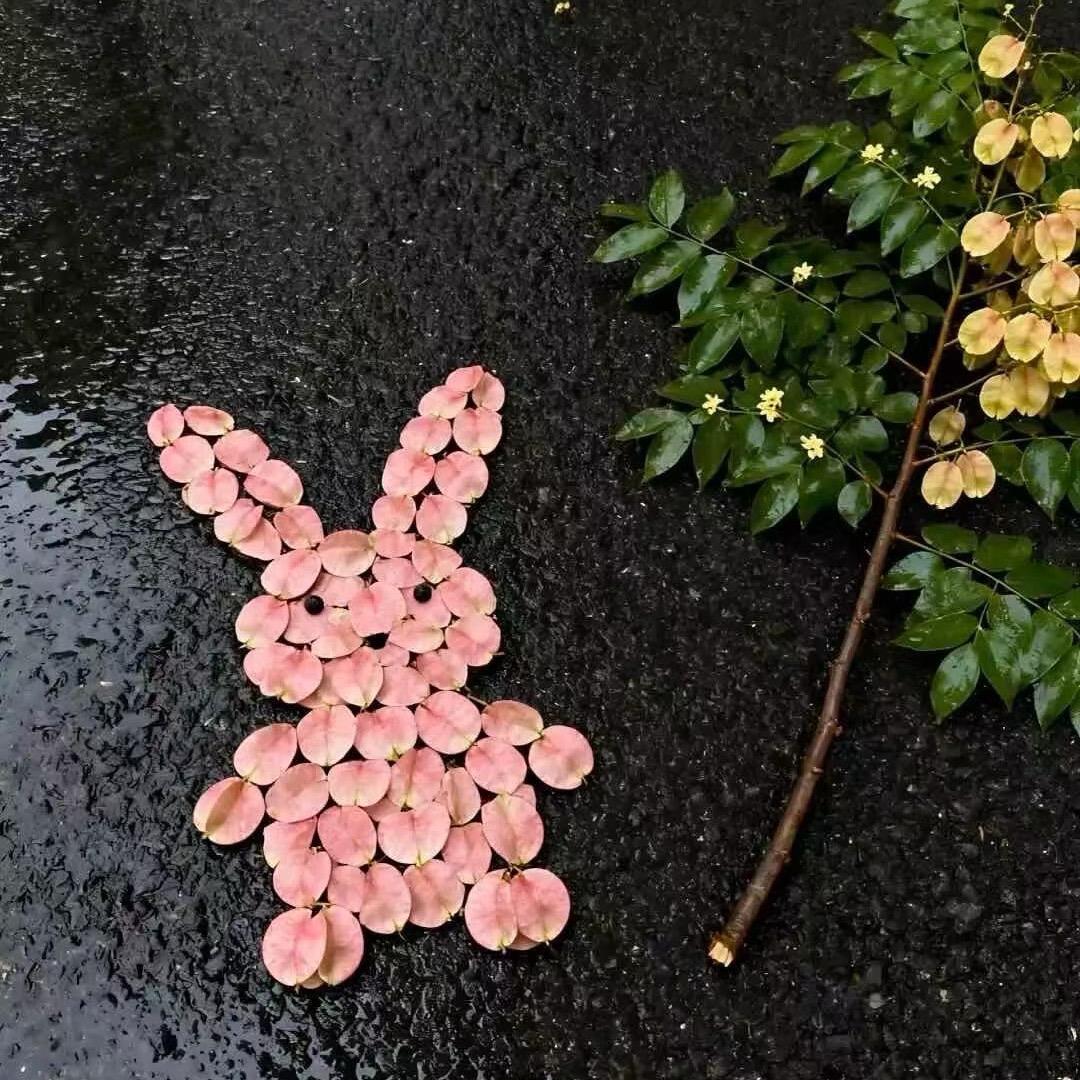 🌈HMᥫ᭡້໌ᮨ