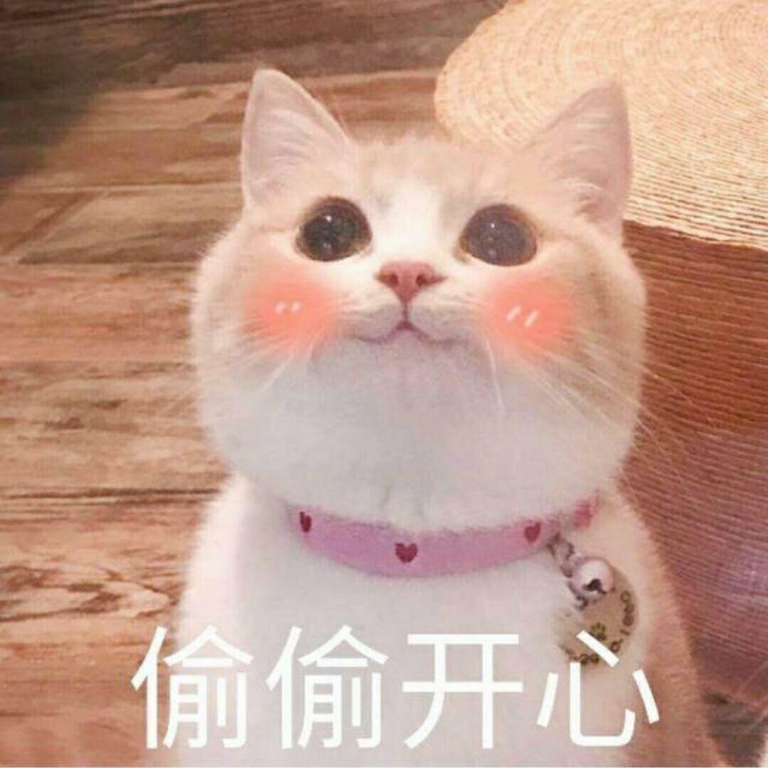 小居