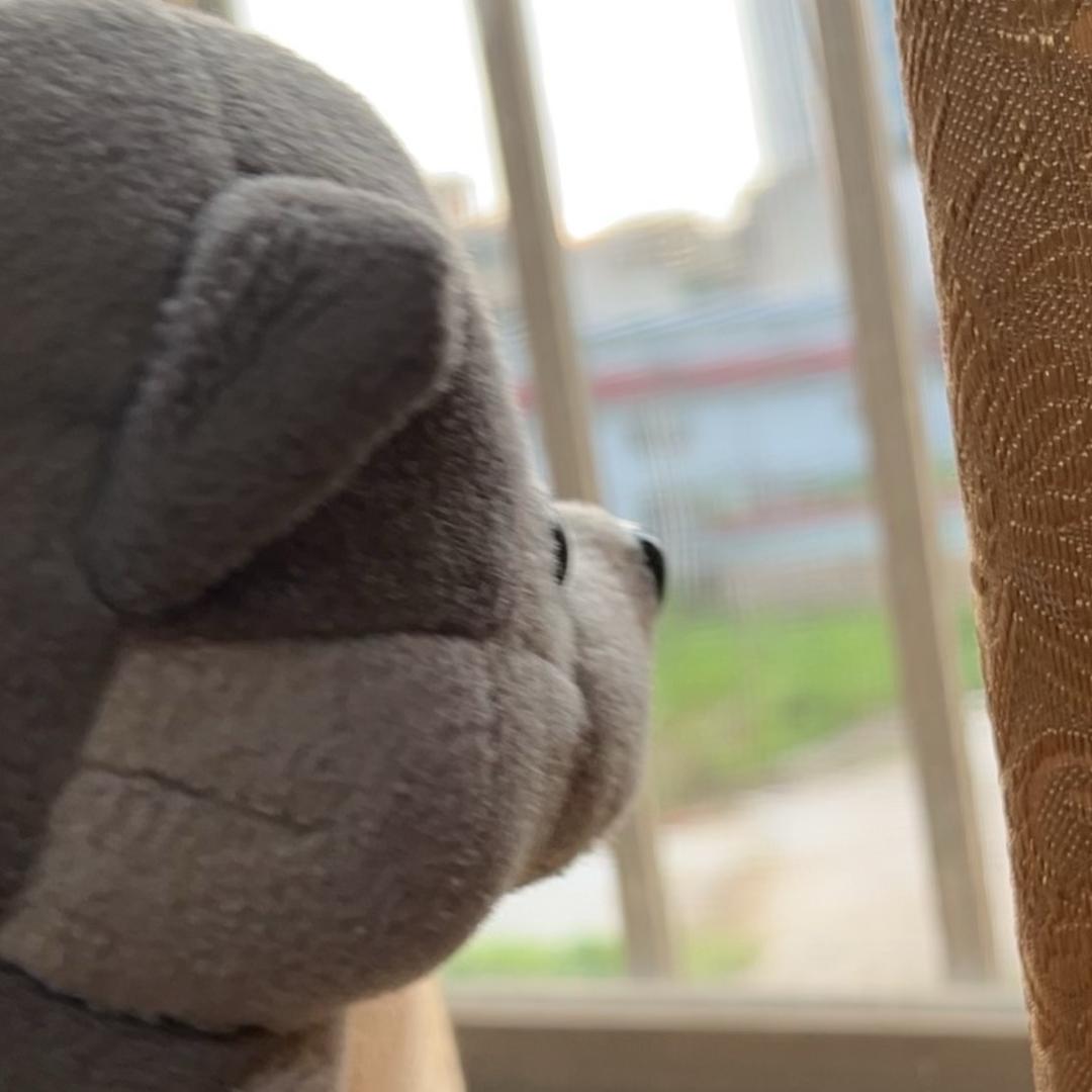 泪水打湿茶叶蛋💧（私信被禁版）