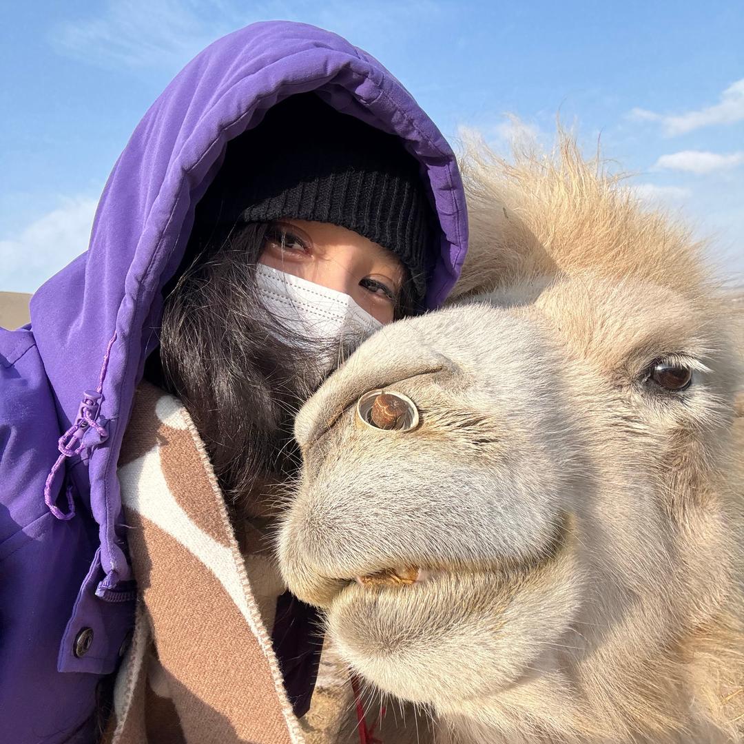 旅游领队-小猪（西北环线组队ing）