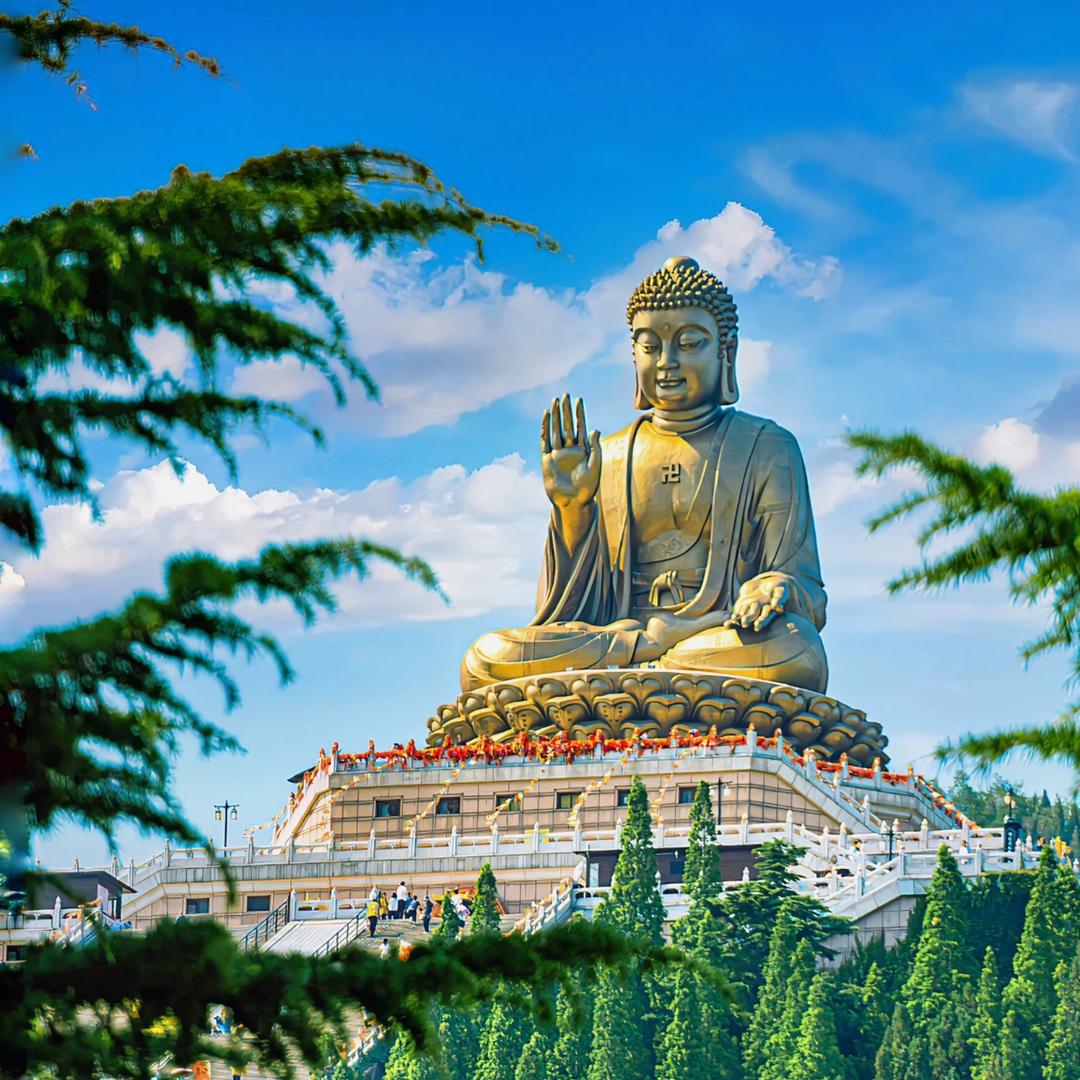 远景（龙口市就业安居）