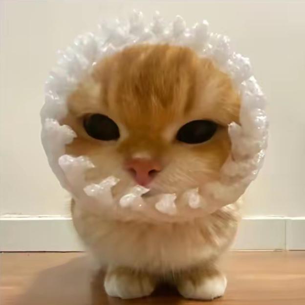 Kitty 七