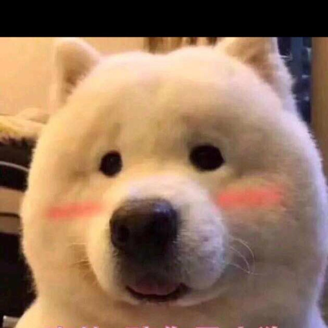 🌈喷杀虫剂的蚊子