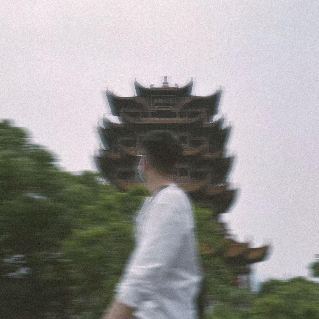 养香猪的王博士