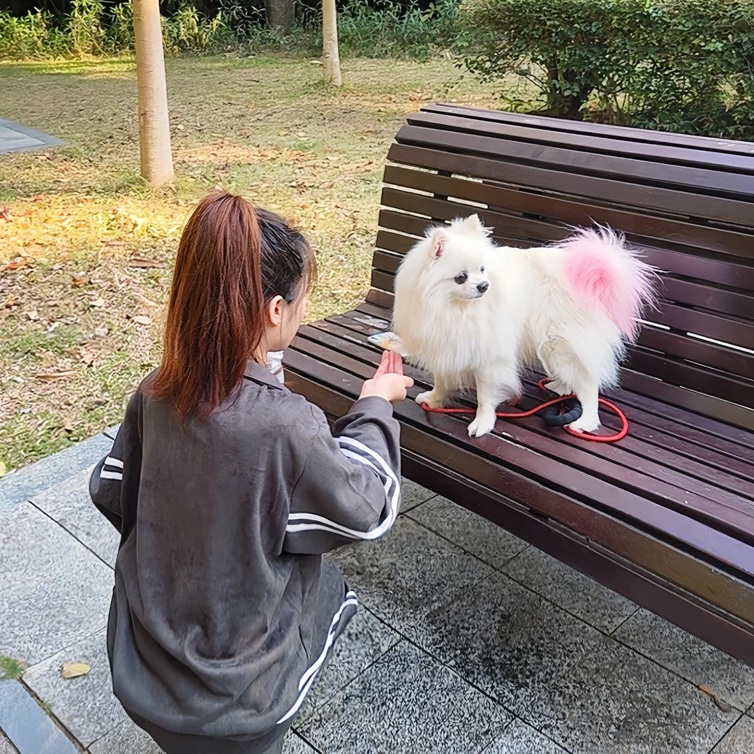 贰月