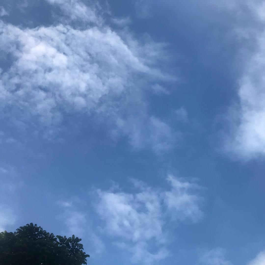 小左正在努力