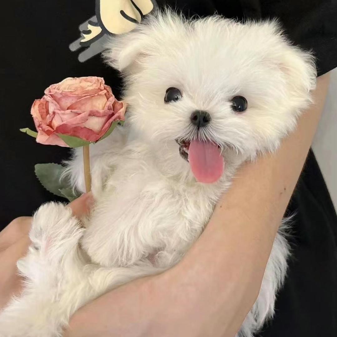 什么小椰🥥