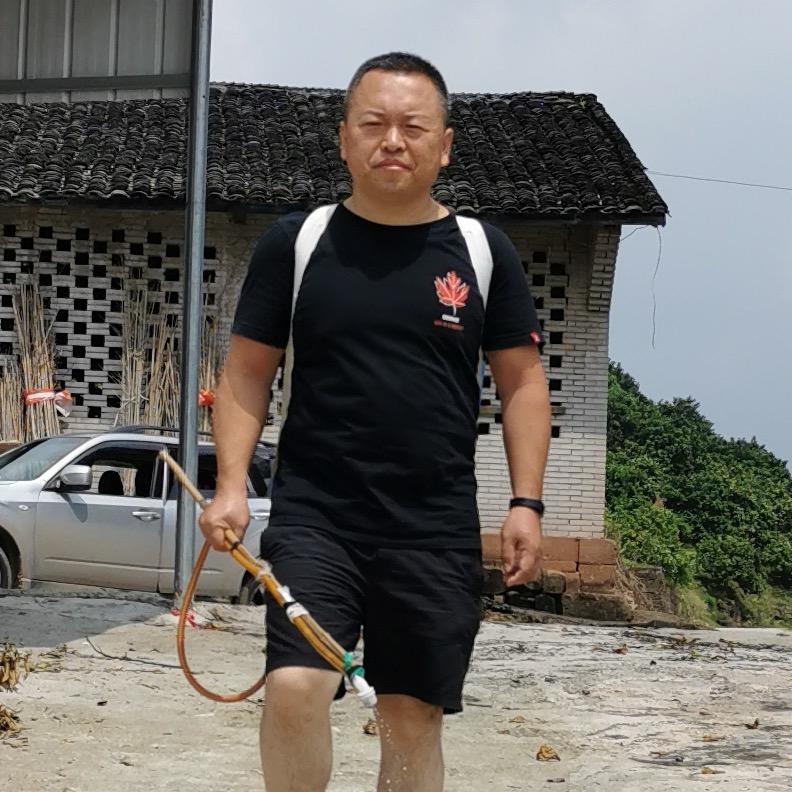 金地毯控草
