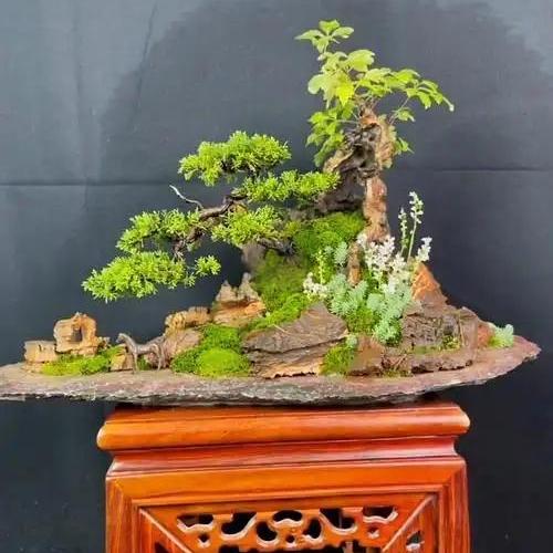 鑫笙石坊