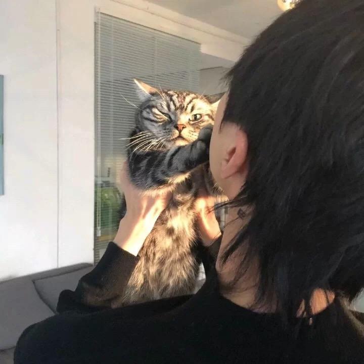 A小政E Liveparty进化音乐