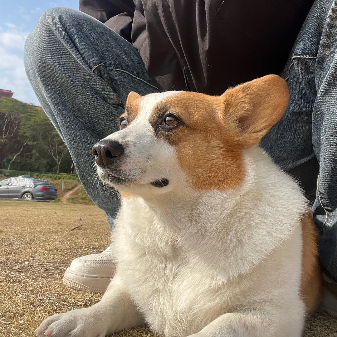 大大大蒙牛-老王