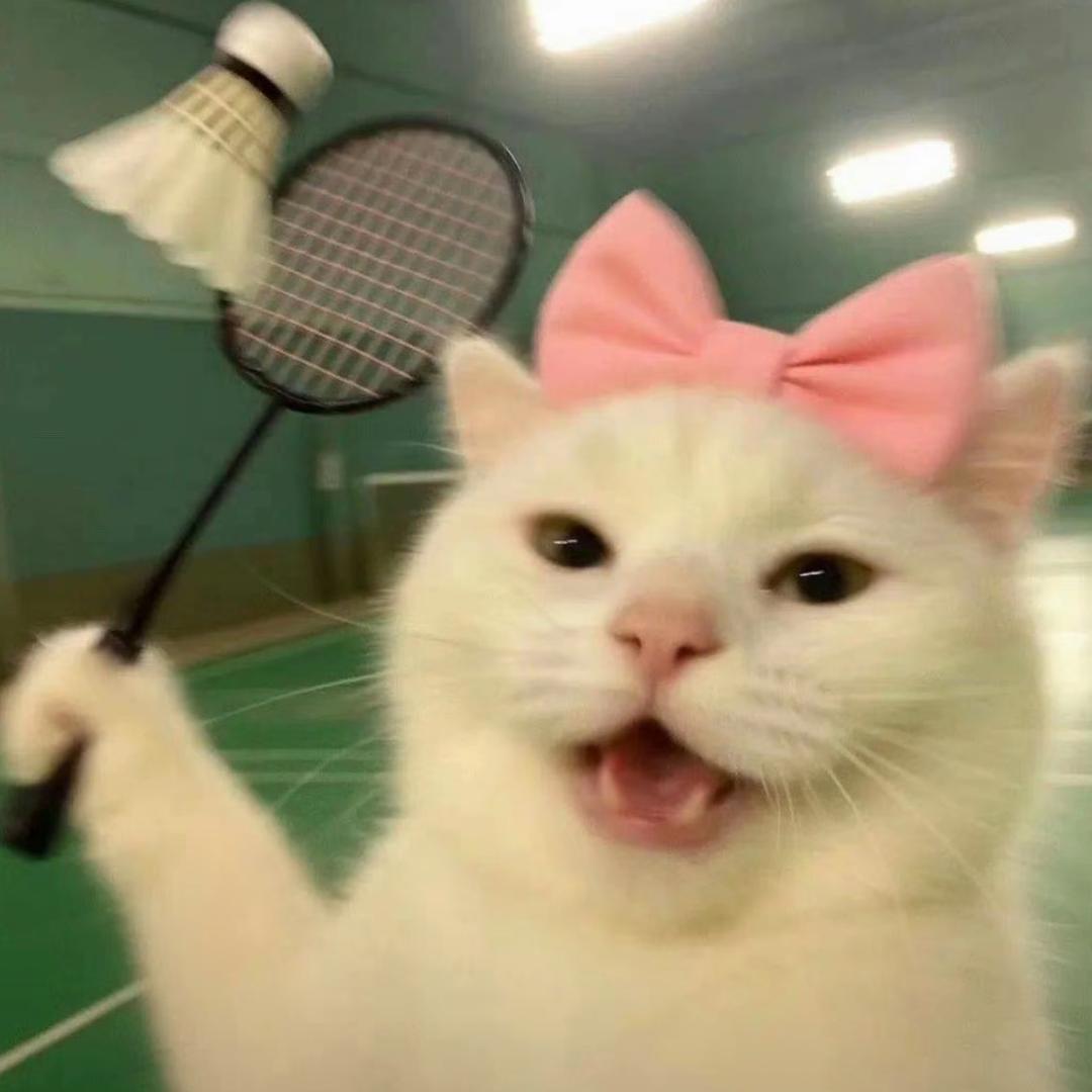 旺仔牛奶甜心（发财版）