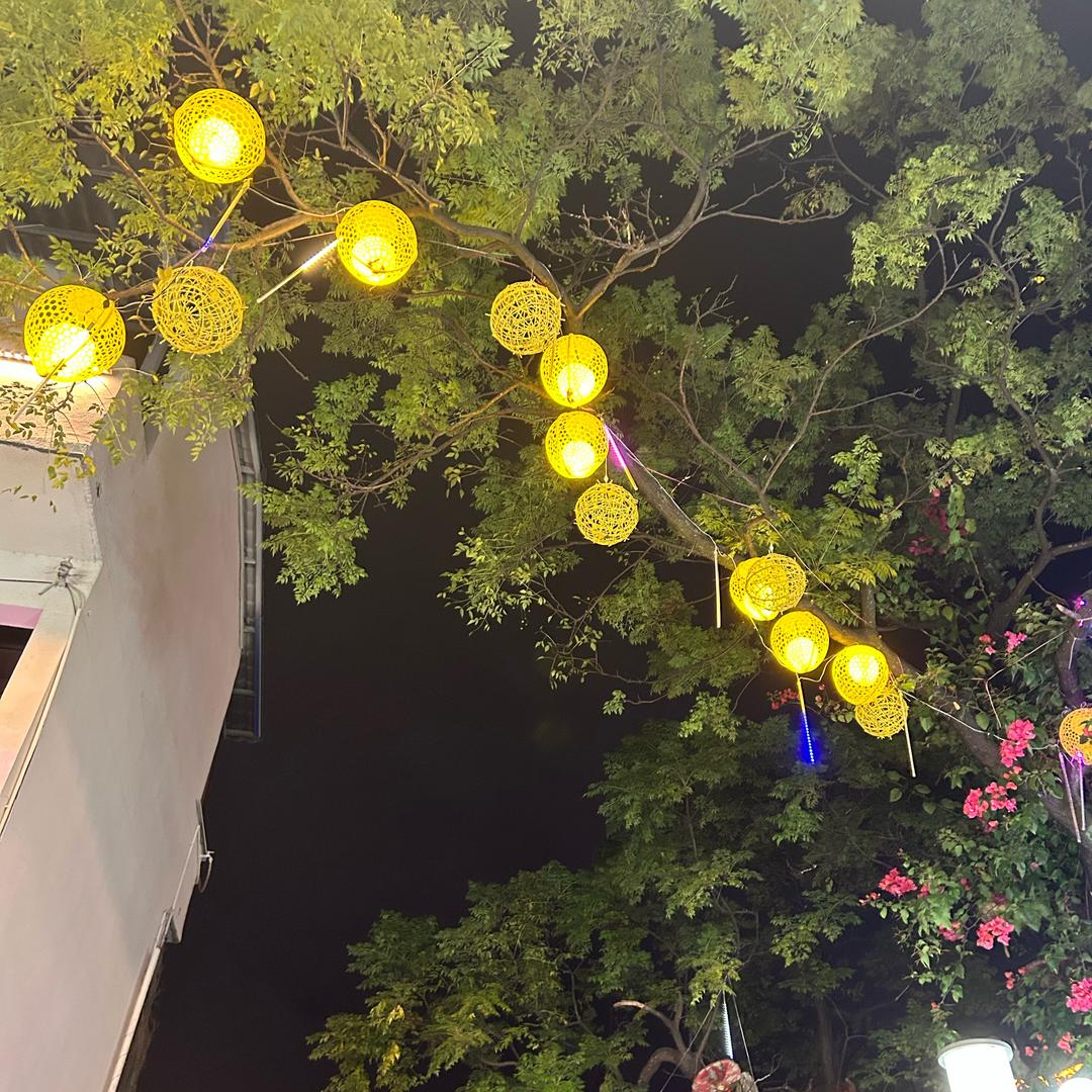 幸运🍀