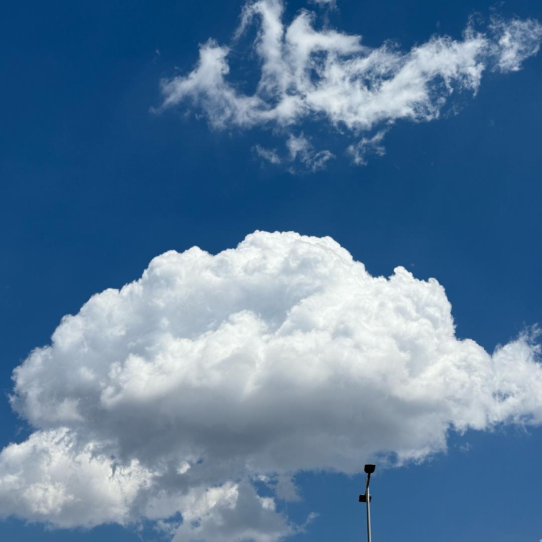 最爱的是小黄❤️